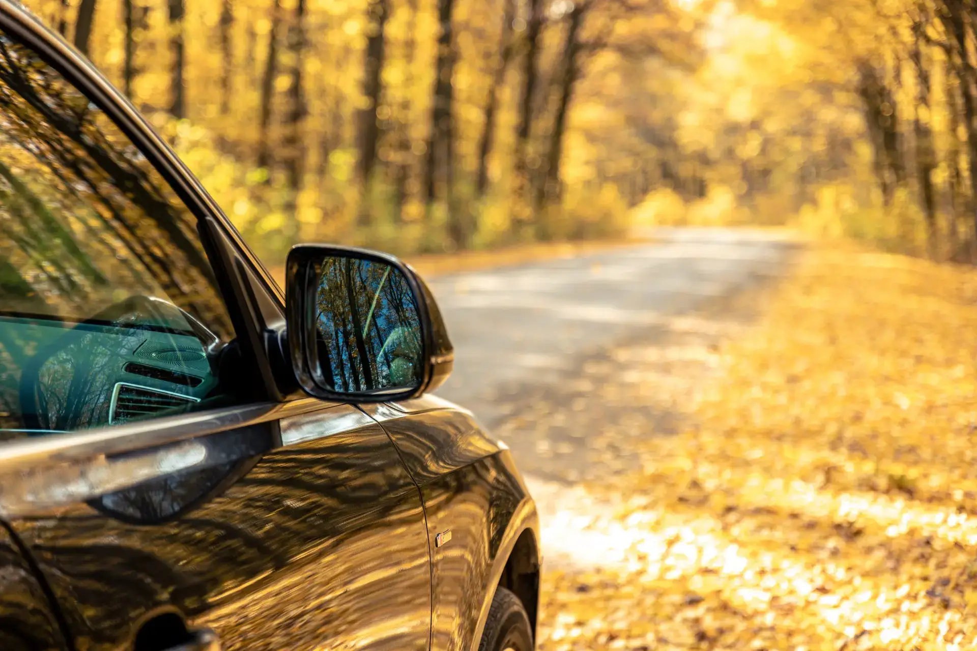 rear-view-side-mirror-of-a-car-seen-through-the-r-2025-03-14-20-20-21-utc-scaled